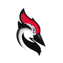 Woodpecker.co