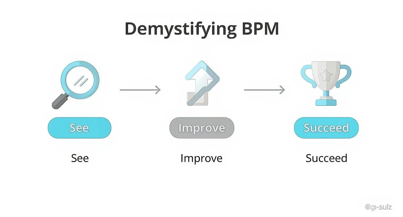Business process management workflow diagram showing three stages: see, improve, and succeed with corresponding icons