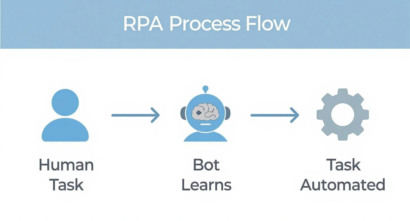 RPA process flow diagram showing human task to bot learning to automated task workflow